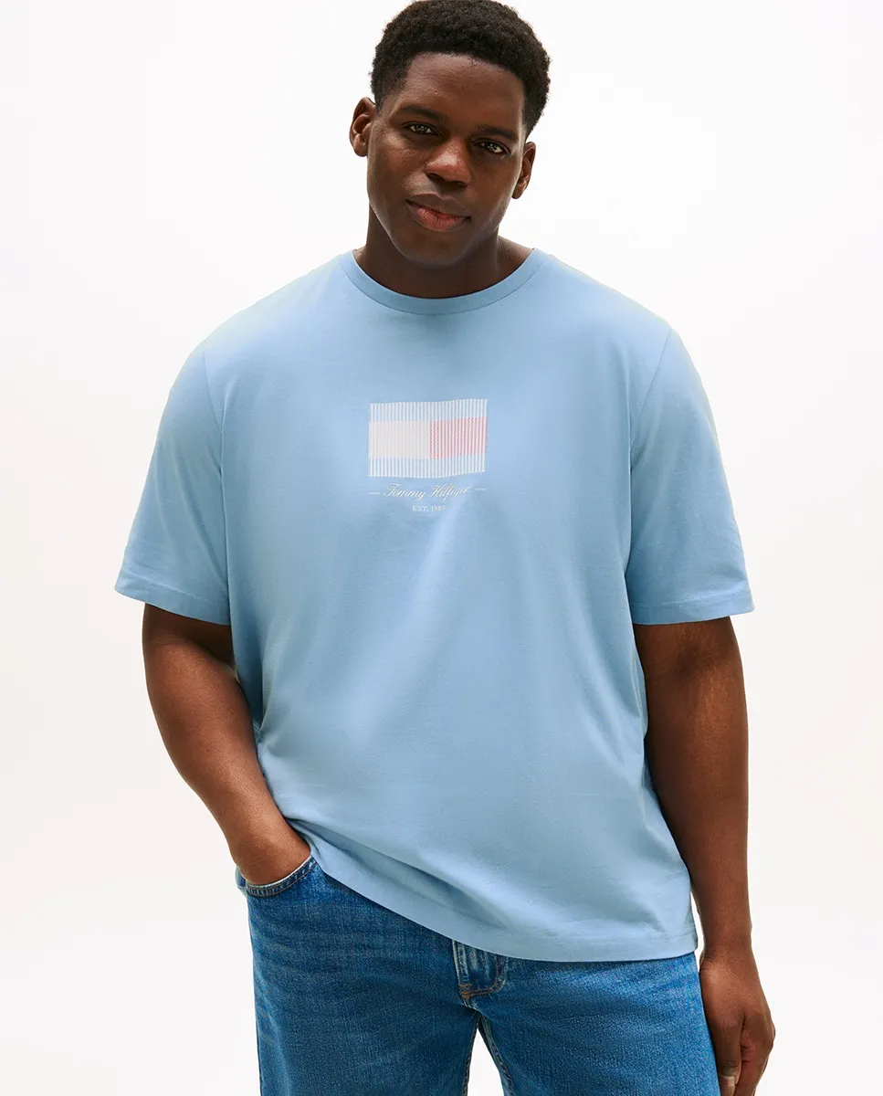 

Мужская футболка с коротким рукавом с принтом бренда, большие размеры Tommy Hilfiger, светло-голубой