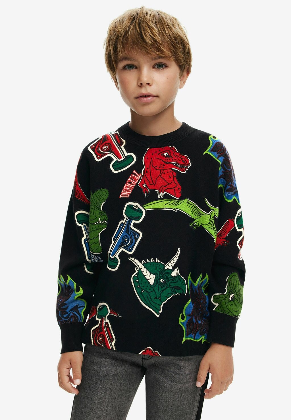 

Толстовка DINOSAUR Desigual, черный