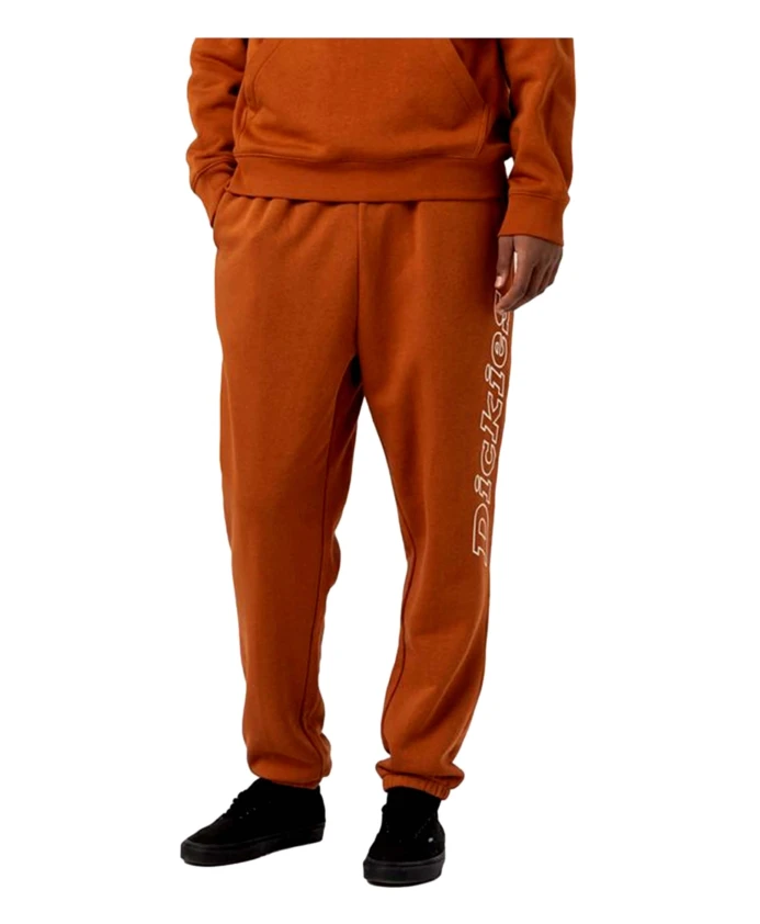 

Длинные брюки Юнионтаун Dickies, коричневый