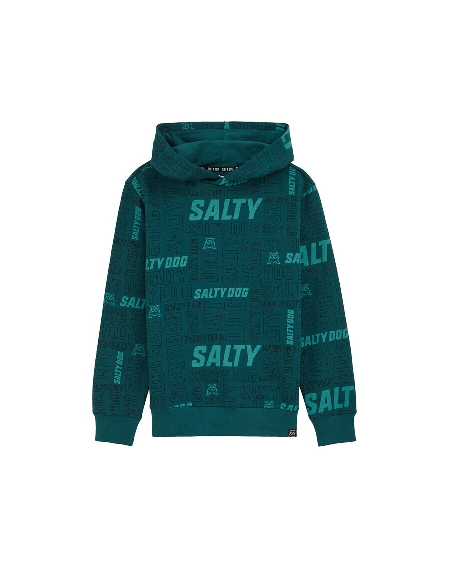 

Худи WE Fashion Sweatshirt, цвет green/emerald/jade/dark green