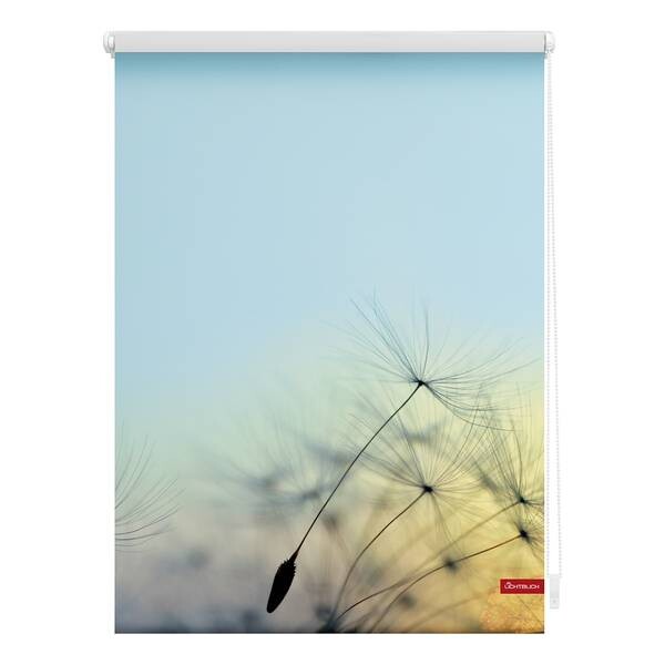 

Рулонные шторы Lichtblick Pusteblume, 70x150x6 см, светло-голубой