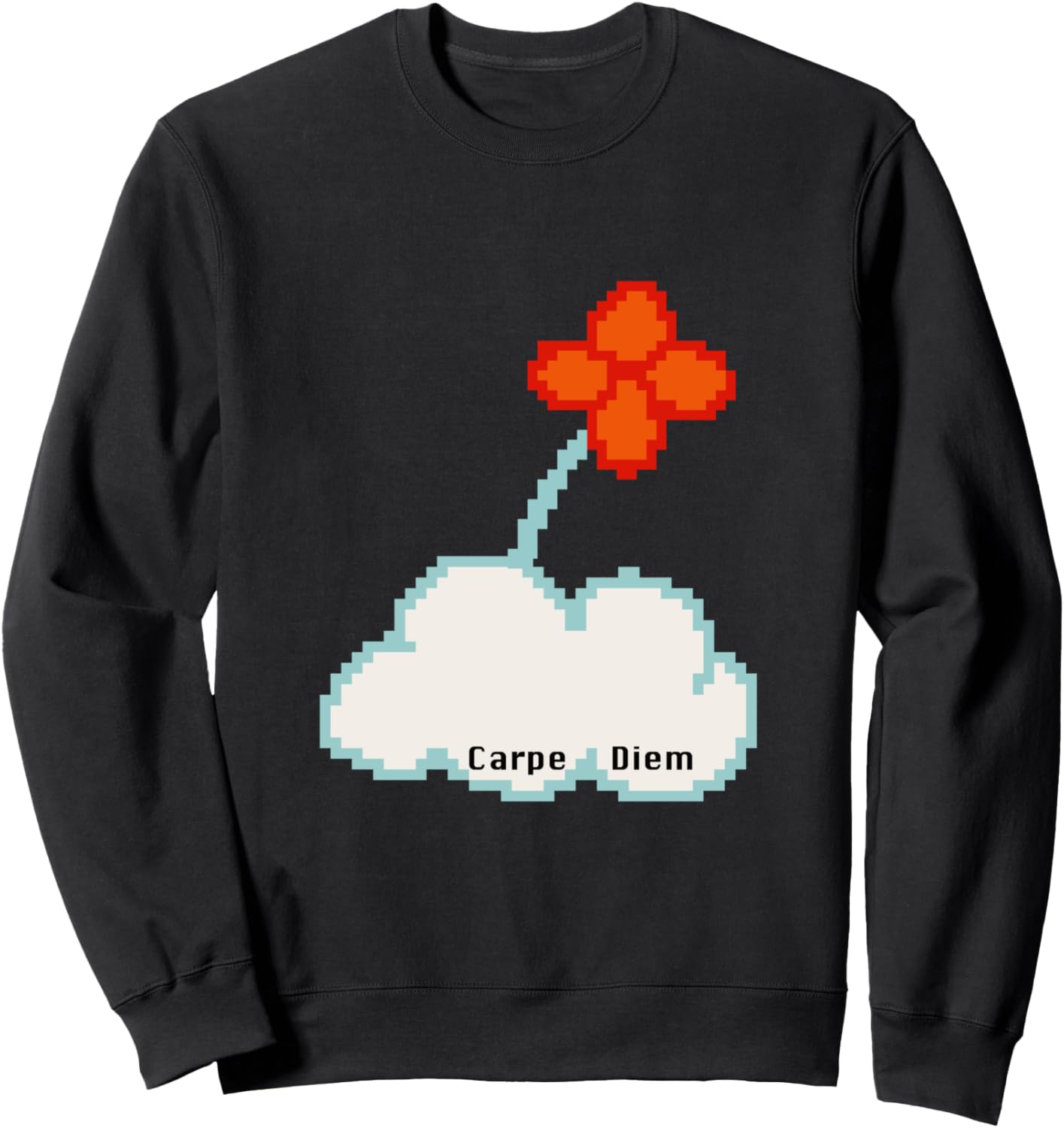 

Толстовка Carpe Diem, черная Retro Life, Черный, Толстовка Carpe Diem, черная Retro Life