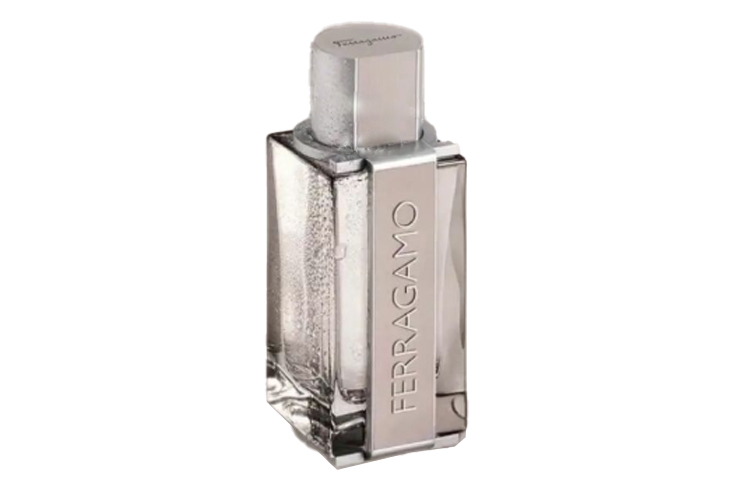 Туалетная вода Salvatore Ferragamo Ferragamo Bright Leather, 100 мл — фото 3