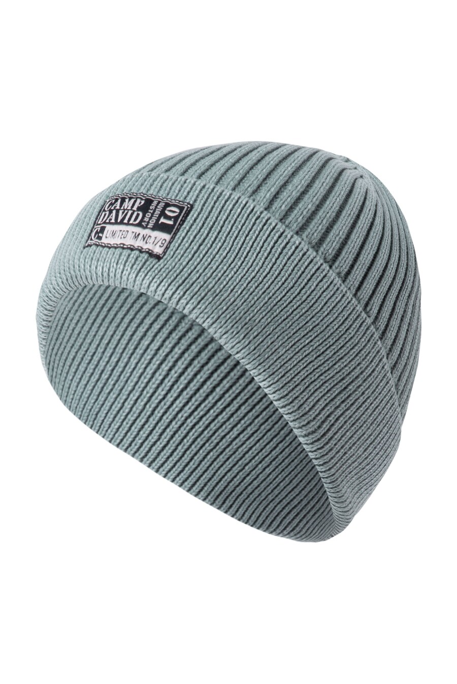 

Шапка CAMP DAVID, Fir