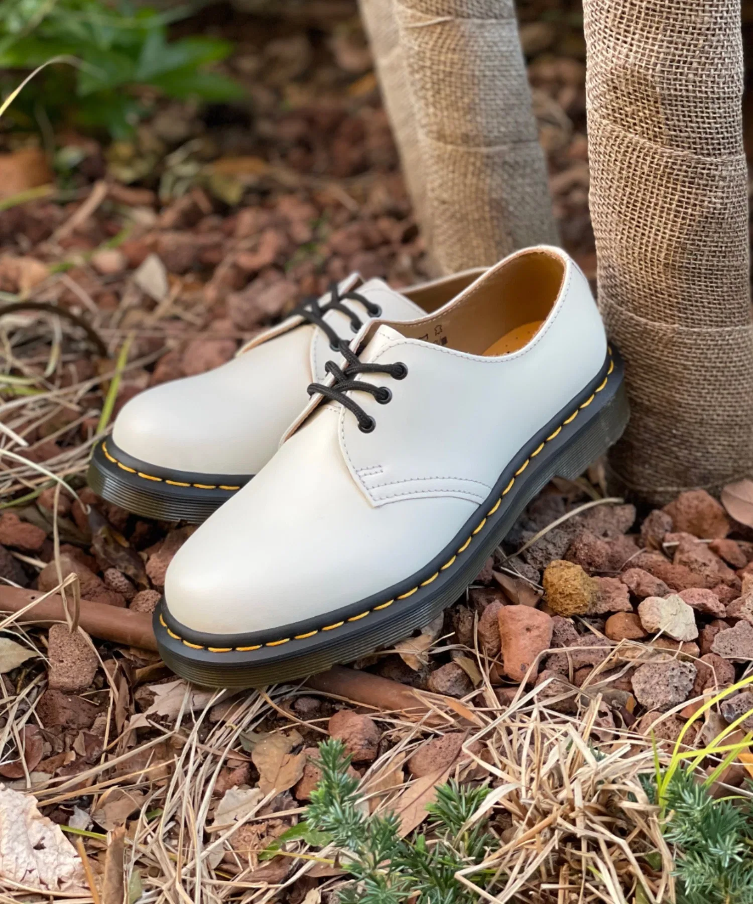 Мужские/женские туфли Dr. Martens 1461 3-hole
