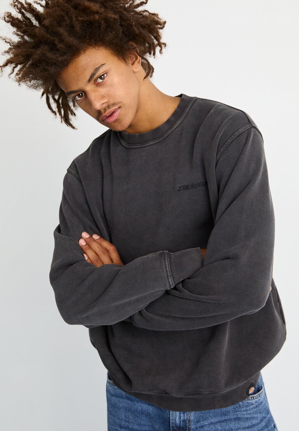 

Толстовка с капюшоном PLENTYWOOD Dickies, черный