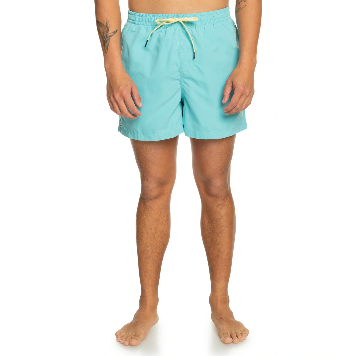 

Мужские плавки Quiksilver Behind Waves 15", синий