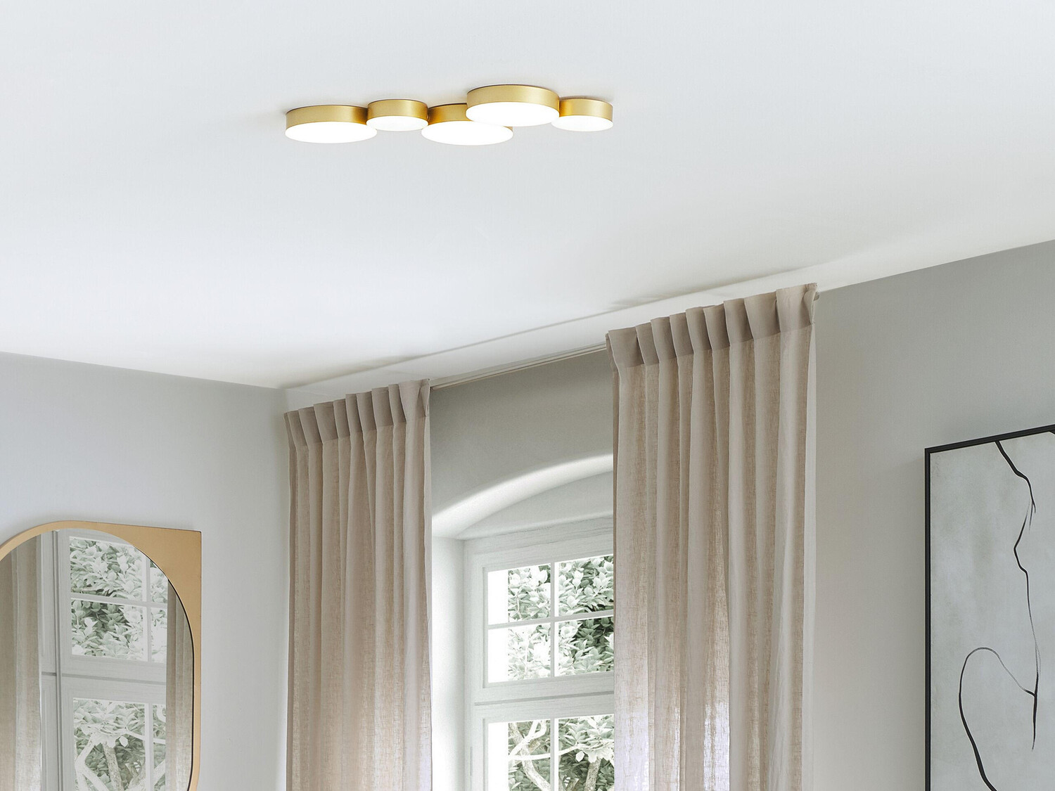 �����������