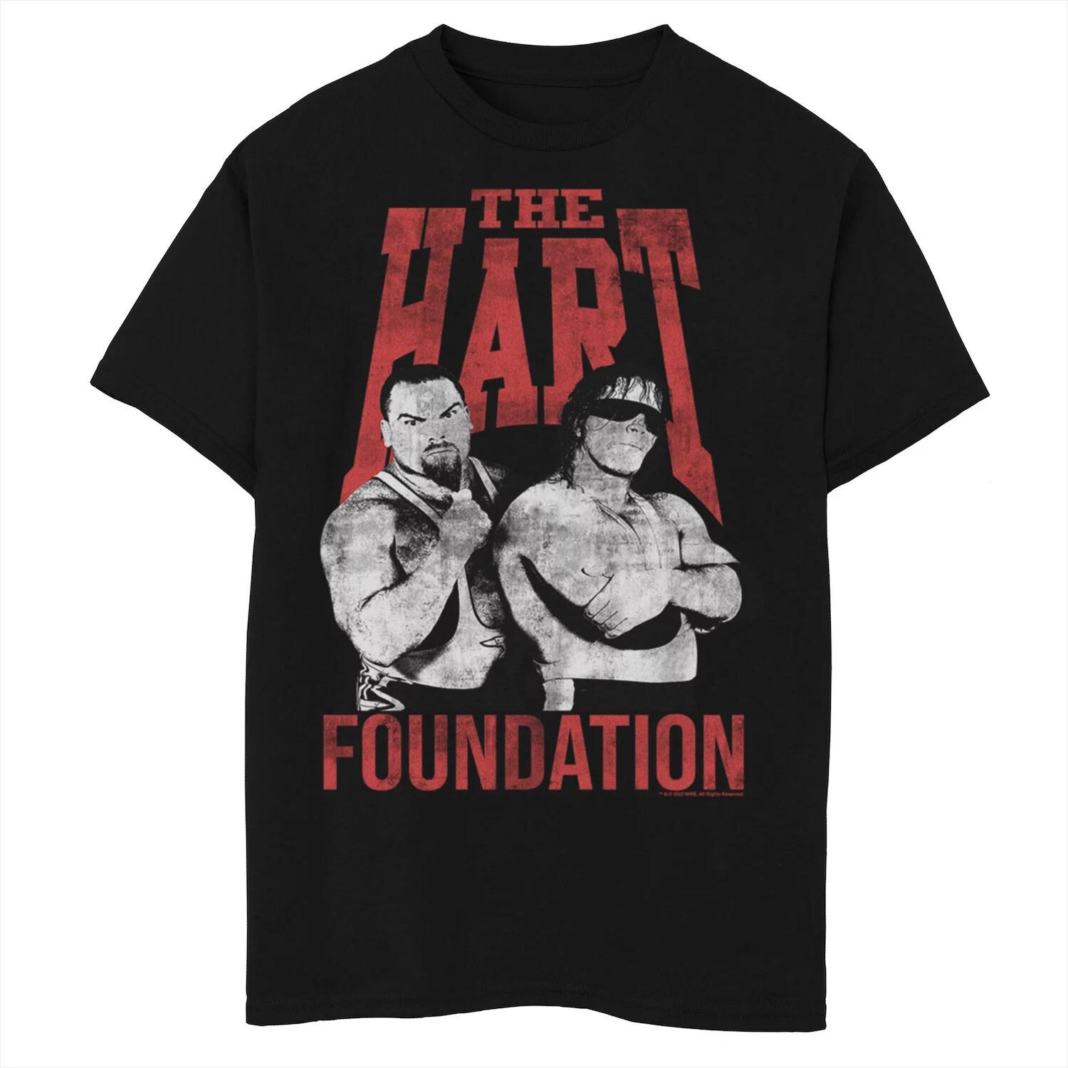 

Футболка с плакатом WWE The Hart Foundation для мальчиков 8–20 лет Licensed Character