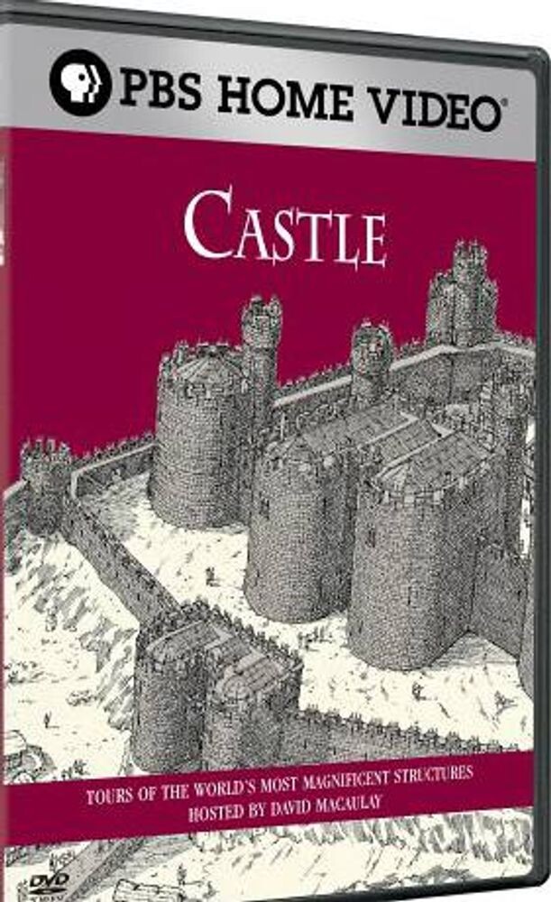 

Диск DVD Castle