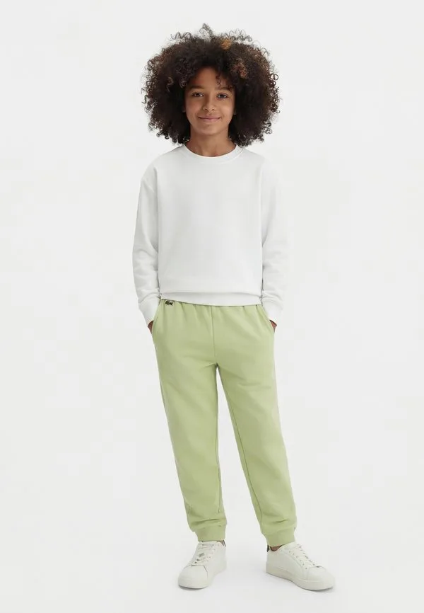 Спортивные штаны core Lacoste, Bouleau