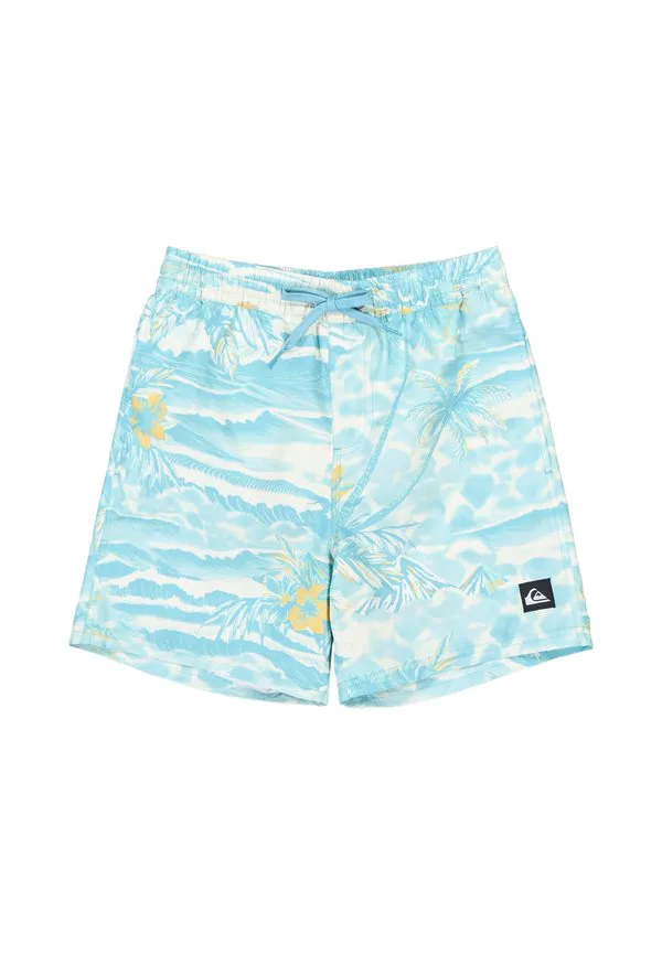 Плавки Quiksilver, Blue