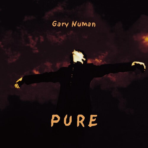 

Виниловая пластинка Numan, Gary: Pure