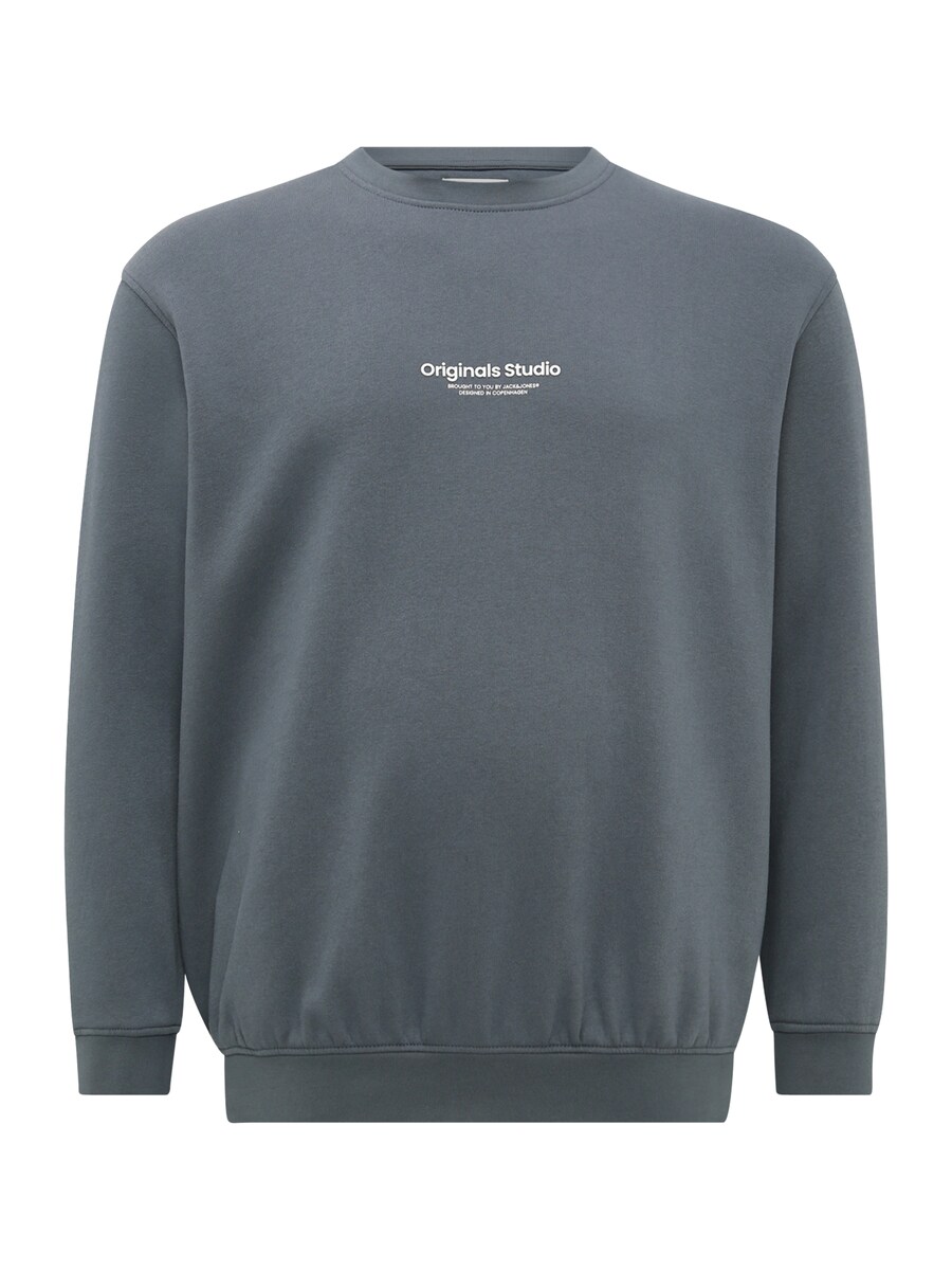 

Толстовка Jack & Jones Plus JORVESTERBRO, темно-синий