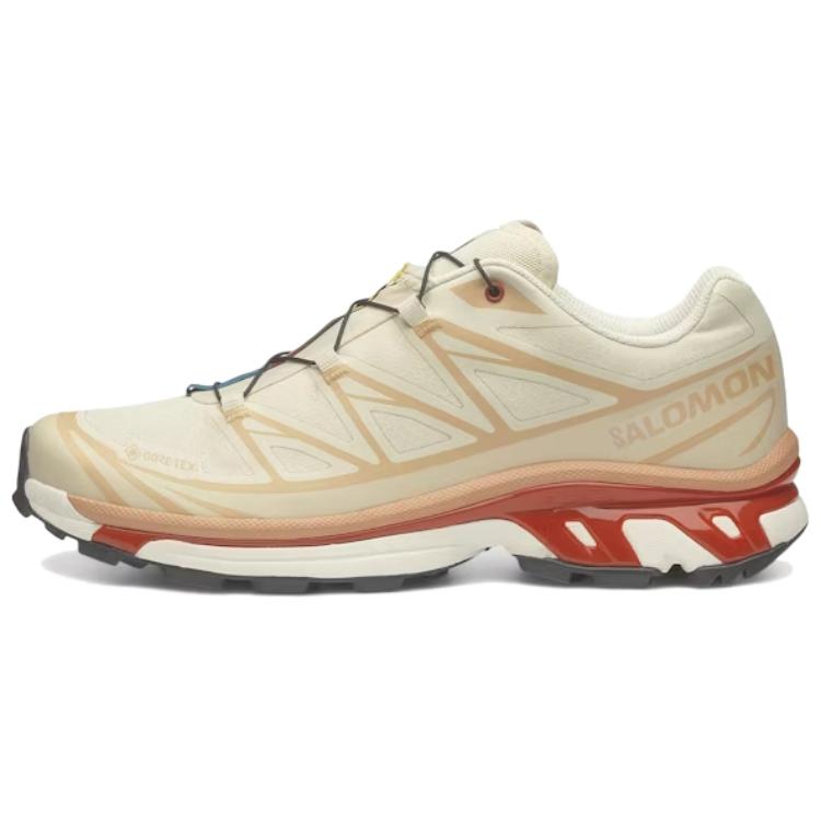 

Кроссовки XT 6 GORE TEX 'Almond Milk Burnt Ochre' SALOMON, бежевый