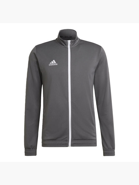 

Тренировочная куртка Entrada 22 Adidas, серый