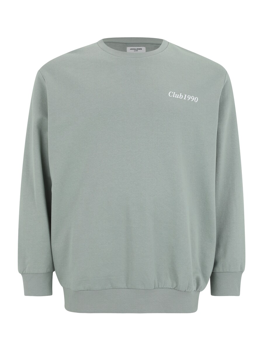 

Толстовка Jack & Jones Plus JJEBRADLEY, цвет Lime/Pastel green