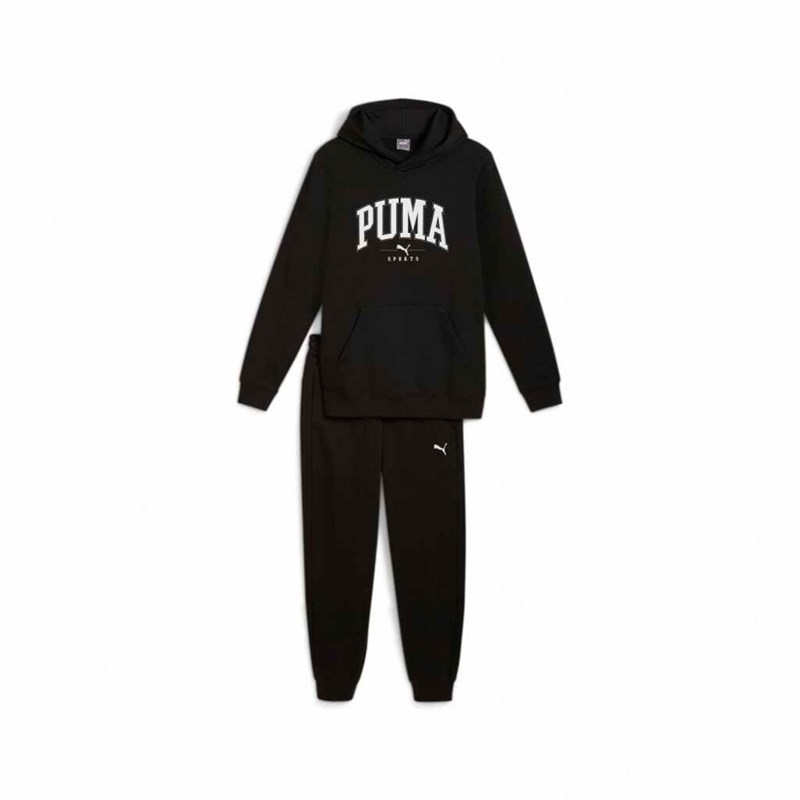 

Мужской спортивный костюм с капюшоном fl Puma, черный