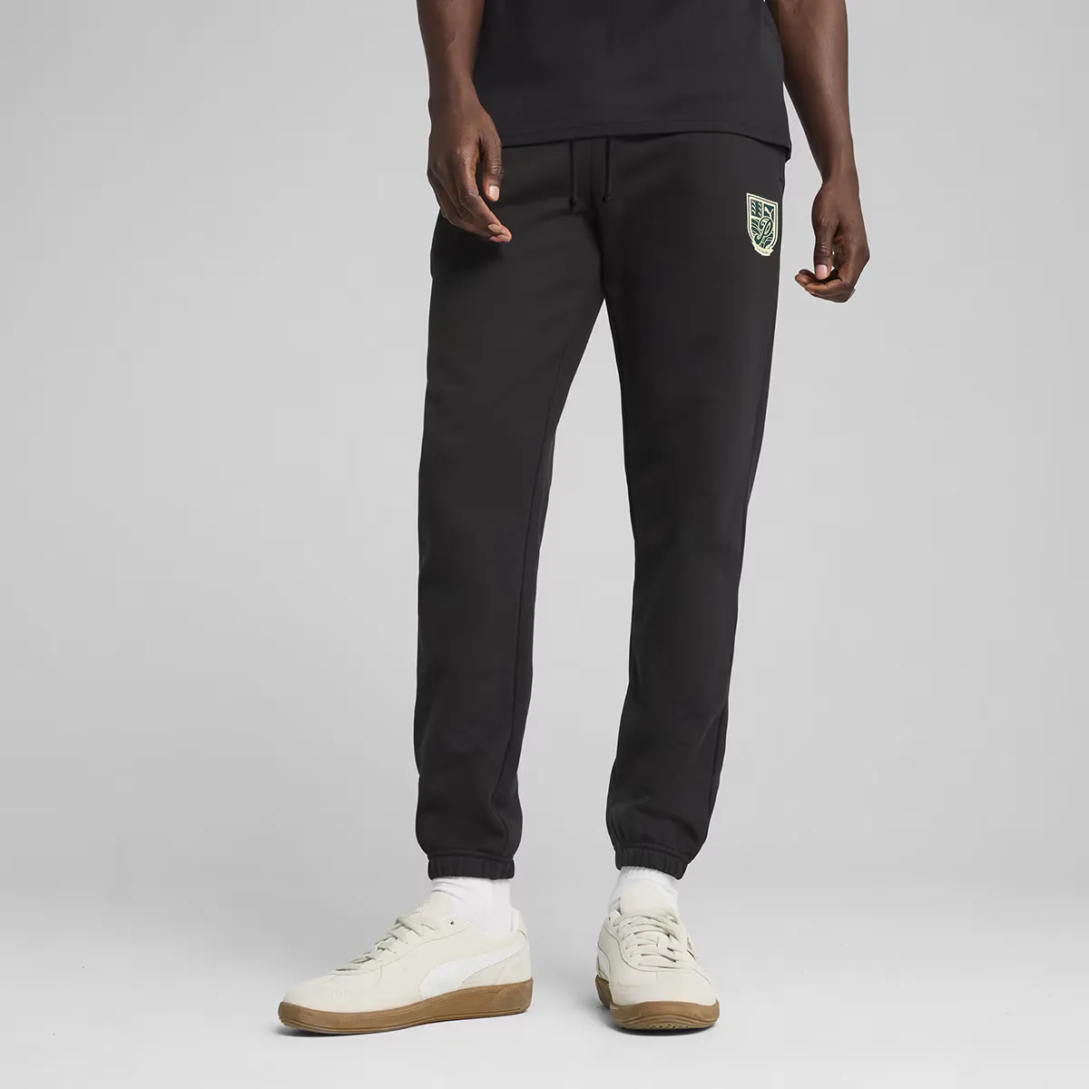 

Спортивные штаны Puma Men's Sports Legacy Graphic Sweatpants TR cl, черный