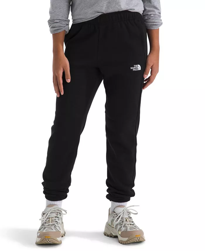 

Брюки Big Boys Teen Evolution The North Face, черный