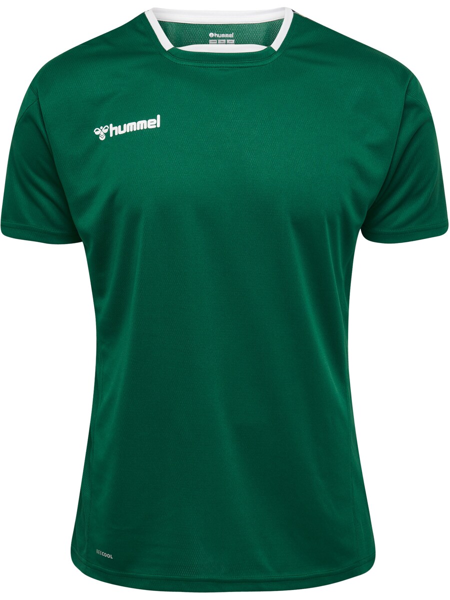 

Футболка Performance Hummel Authentic, цвет Green/Dark green
