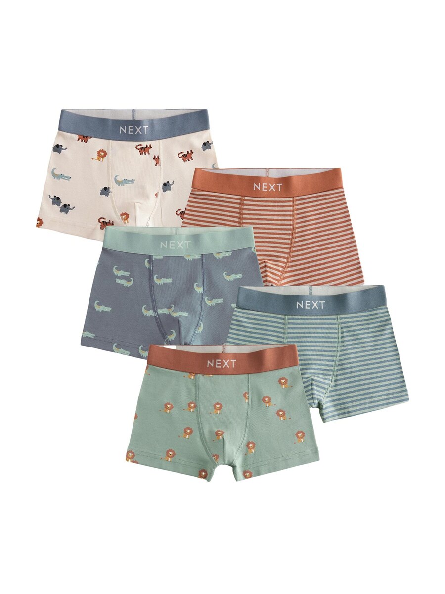 

Трусы Next, цвет Dusty blue/Light blue/Rusty red/natural white