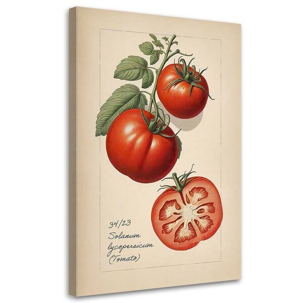 

Картина арт-принт KUNSTLOFT Tomato, бежевый