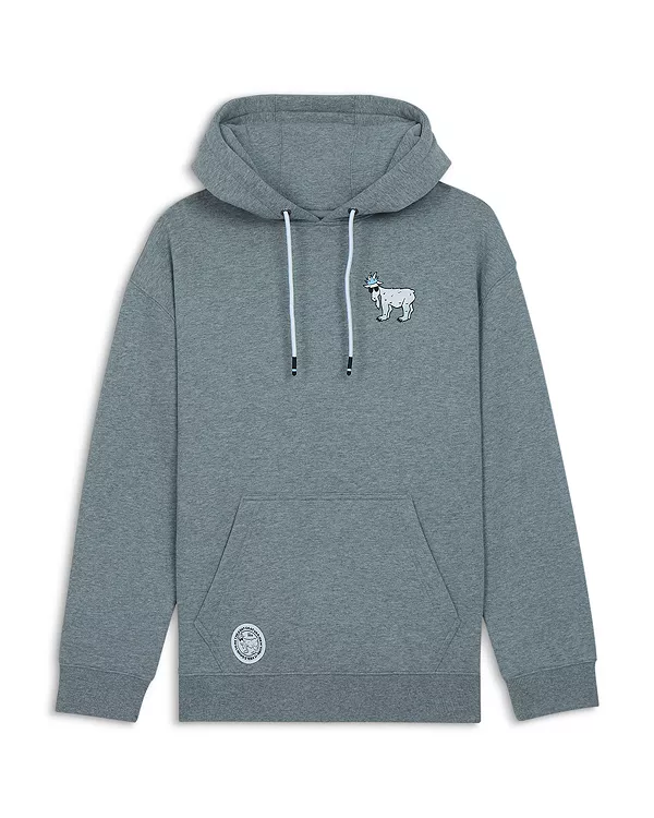 

Детская толстовка с капюшоном и принтом "полярное погружение" - для подростков постарше. Goat Usa, серый