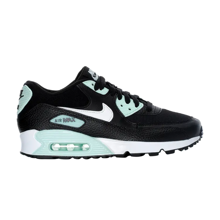 Кроссовки Nike Wmns Air Max 90 'Black Igloo', черный