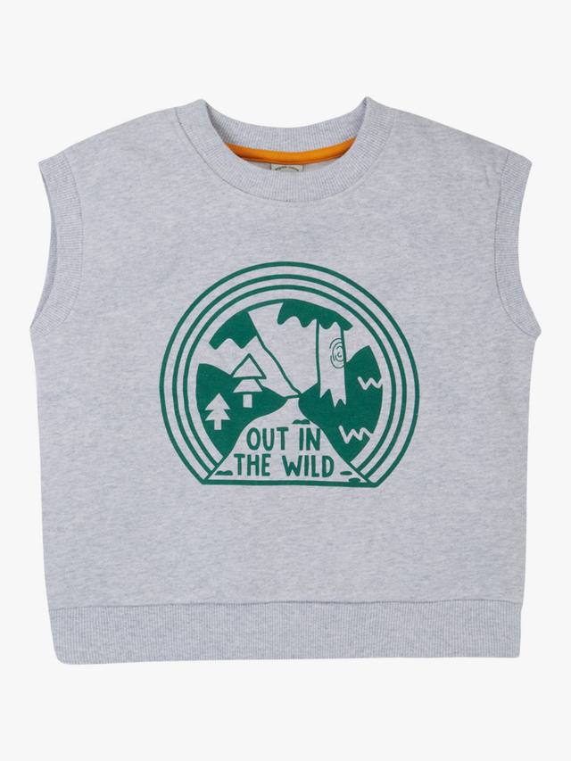 

Детский свитшот Alex без рукавов Frugi, Grey Marl/Wild