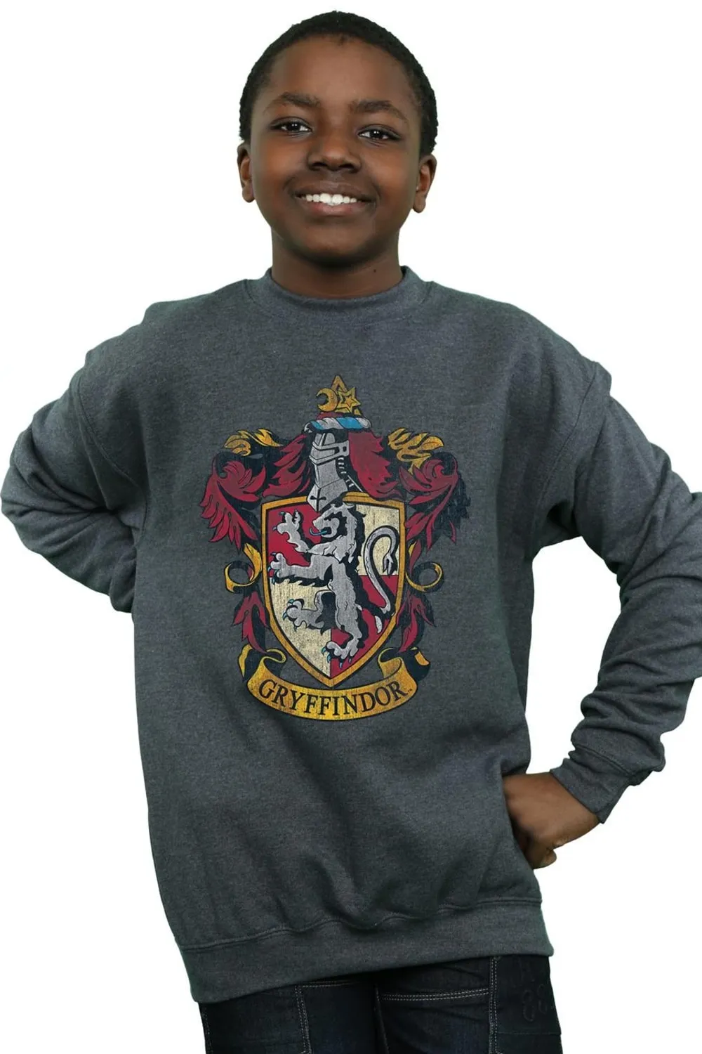 

Толстовка Гриффиндора Harry Potter, серый