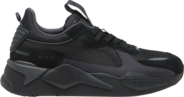 

Кроссовки RS-X GORE-TEX 'Black Dark Coal', черный