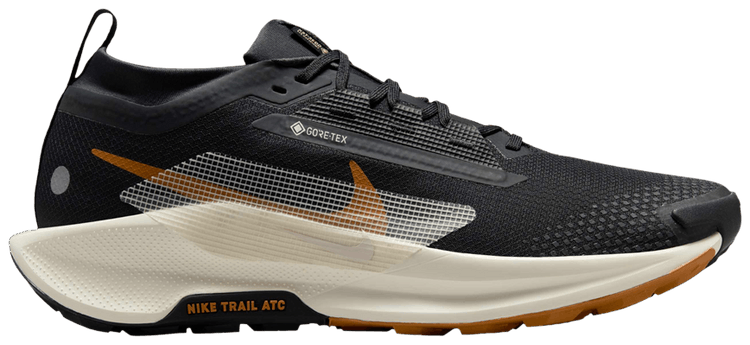 

Кроссовки Nike Pegasus Trail 5 GORE-TEX 'Black Monarch', черный