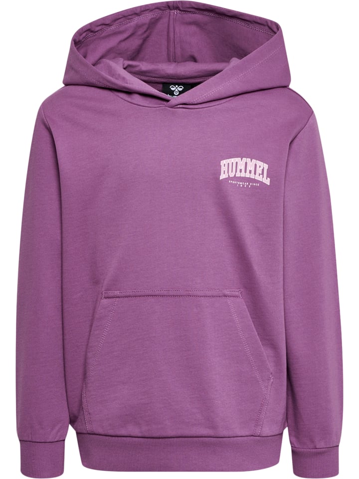 

Пуловер с капюшоном Hummel, цвет argyle purple