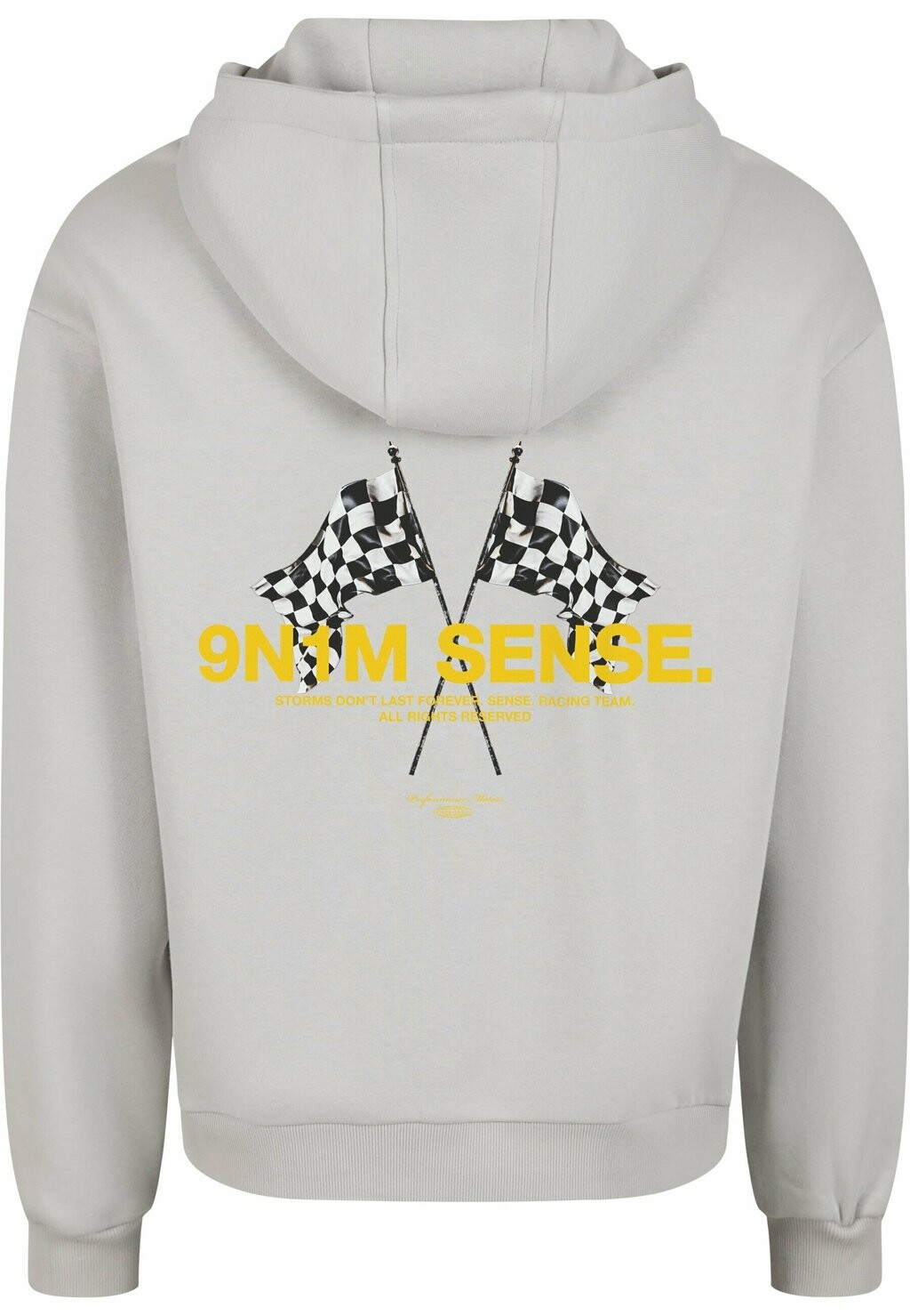 

Толстовка с капюшоном RACE FLAGS 9N1M SENSE, светло-серый