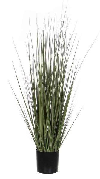 

Декоративное растение Mica Decorations Gras, зеленый