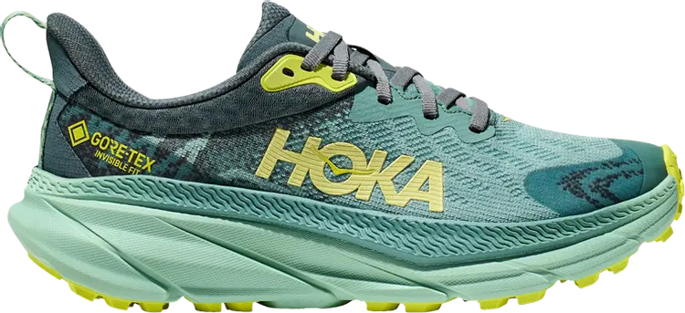 

Кроссовки Wmns Challenger ATR 7 GORE-TEX 'Trellis Balsam Green', зеленый