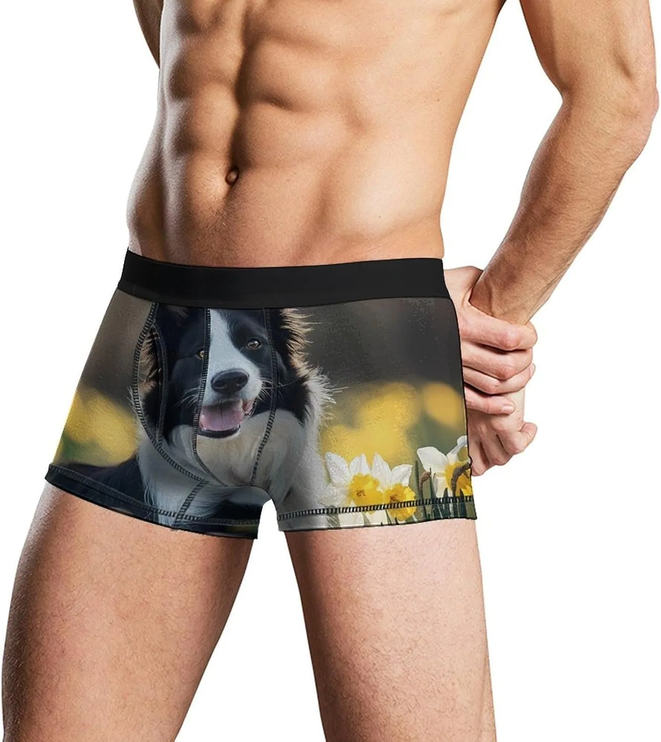 Боксеры Border Collie, Style — фото 3