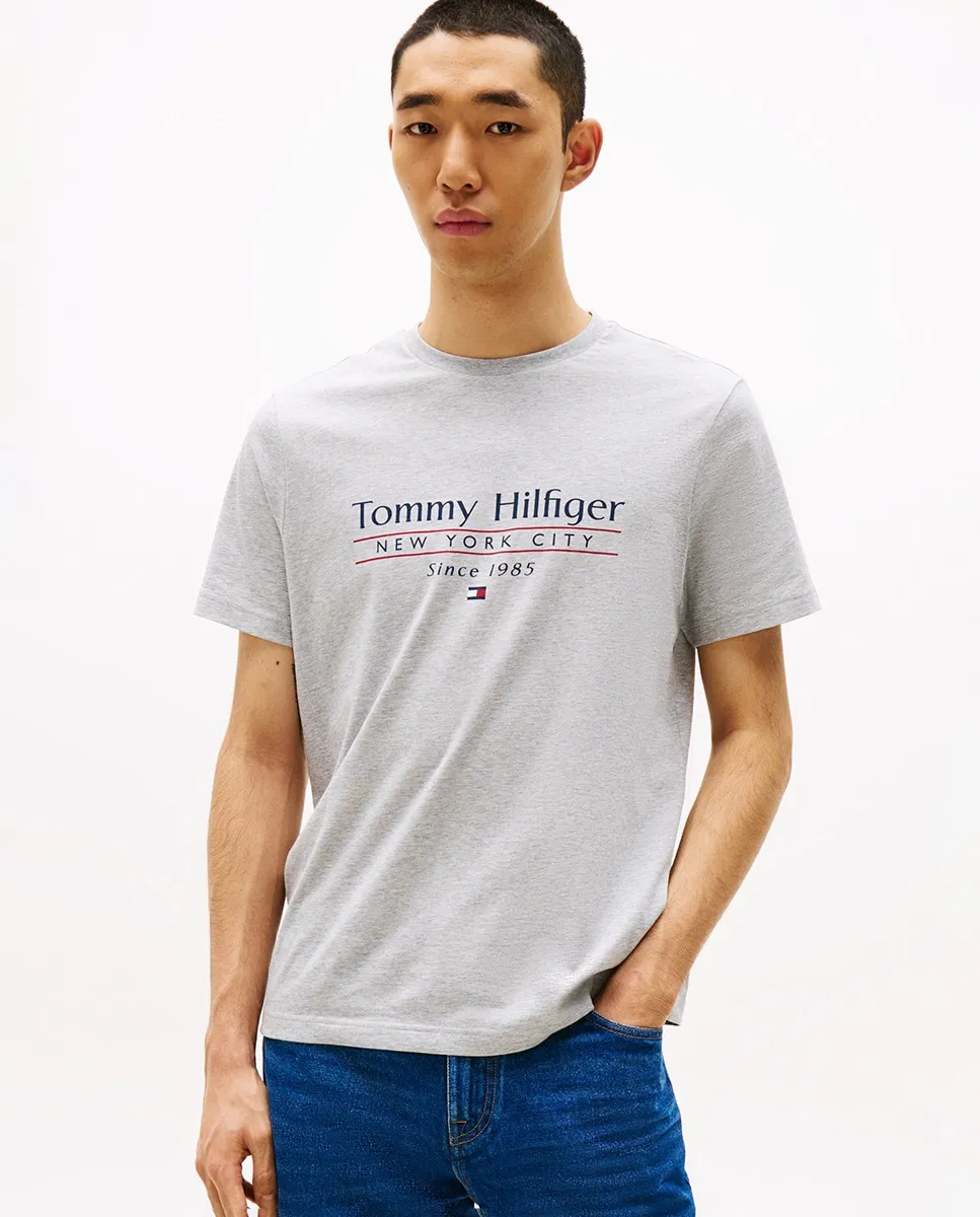 

Мужская футболка с напечатанным брендингом Tommy Hilfiger, серый