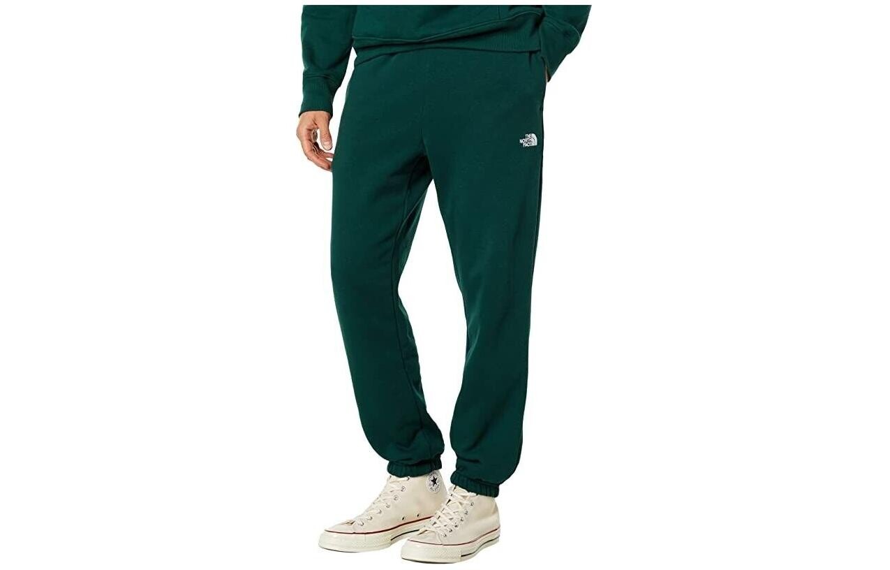 

Повседневные брюки мужские зеленые The North Face, зеленый