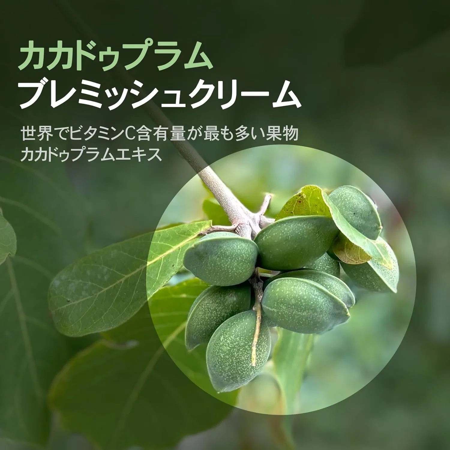 Крем для лица Tosowoong — Дневной с витамином C Kakadu Plum, 50 г — фото 4