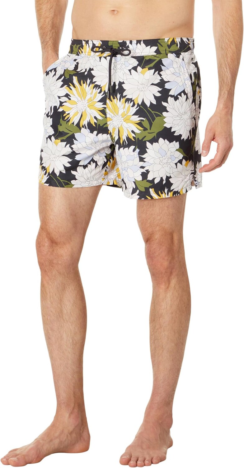 

Шорты для плавания Ted Baker Vesel, цвет Multicolor