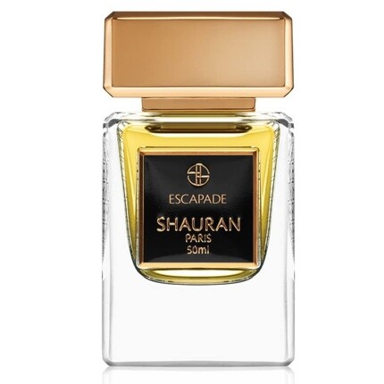 

Парфюмированная вода Patcholy Vision Shauran