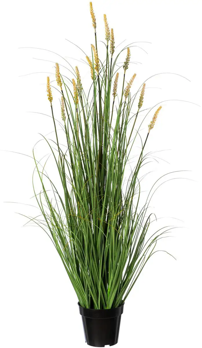 

Зеленая искусственная трава Creativ "Grassbusch Pennisetum" Creativ green 18х120х18 см, зеленый