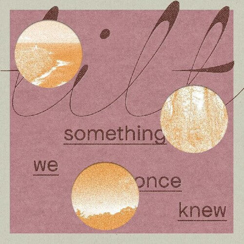 

Виниловая пластинка Tilt: Something We Once Knew