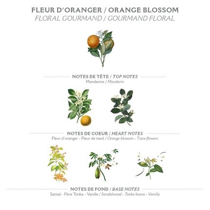 Туалетная вода Orange Blossom для женщин 50 мл - Натуральная косметика, сделанная во Франции, Panier Des Sens — фото 2