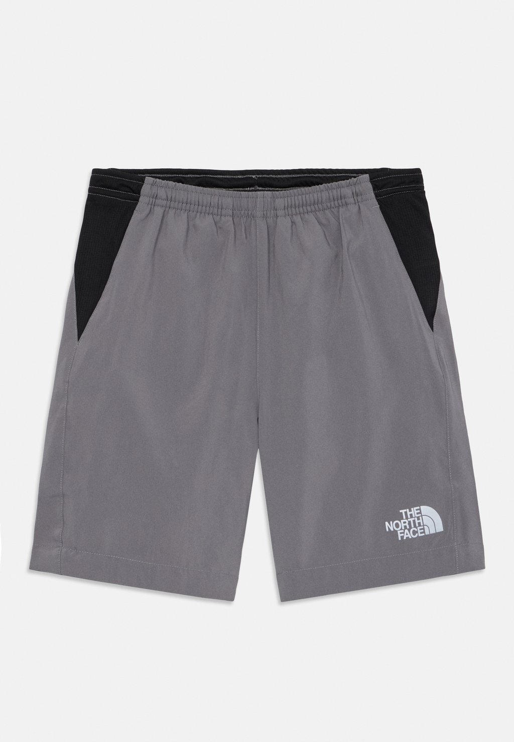

Шорты REACTOR UNISEX The North Face, серый