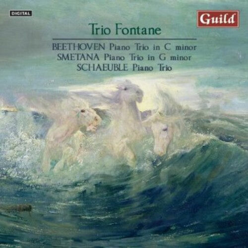 

CD диск Beethoven / Trio Fontane / Smetana: Piano Trio in C minor Op 1