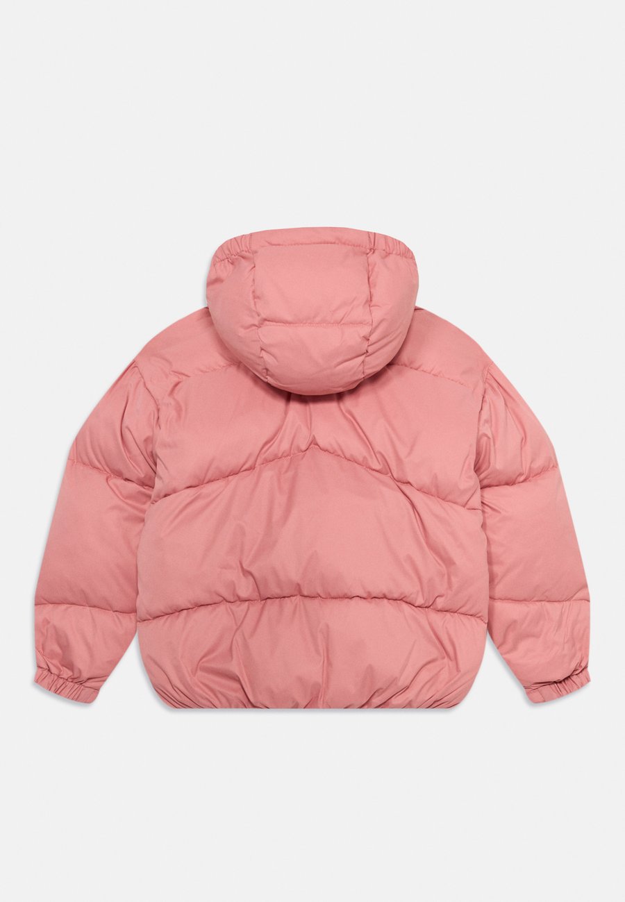 Зимняя куртка Calvin Klein Jeans PUFFER JACKET, Brandied Apricot/Light Pink — фото 2