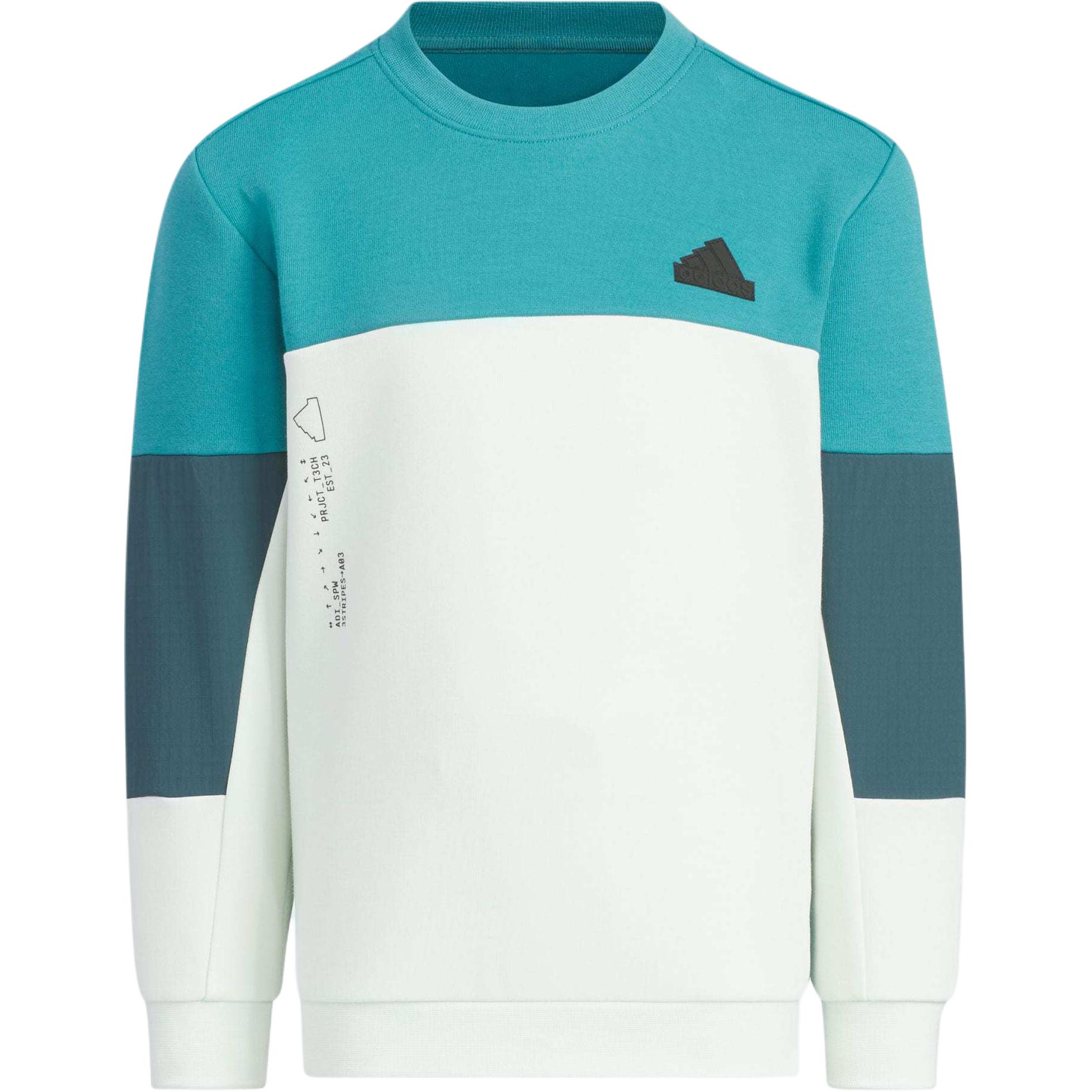 

Детская толстовка Adidas, цвет Арктический океан/Светло-зеленый/Темно-синий